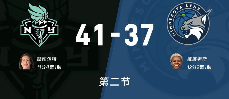 自由人vs山猫比赛现场